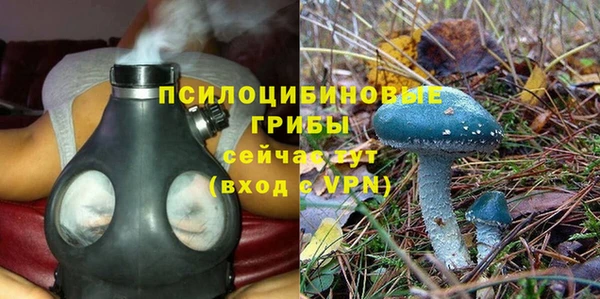 ешки Алексеевка
