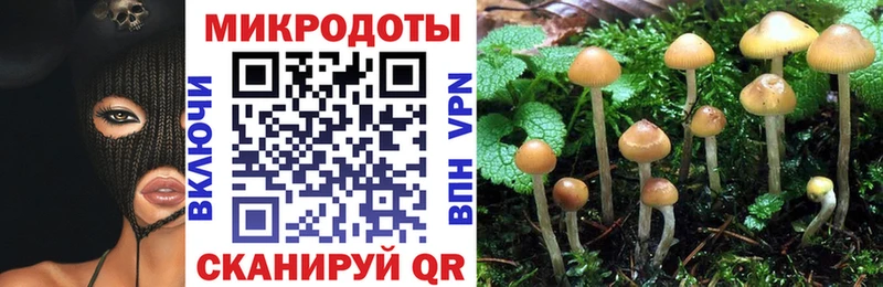 Псилоцибиновые грибы ЛСД  закладки  Урай 